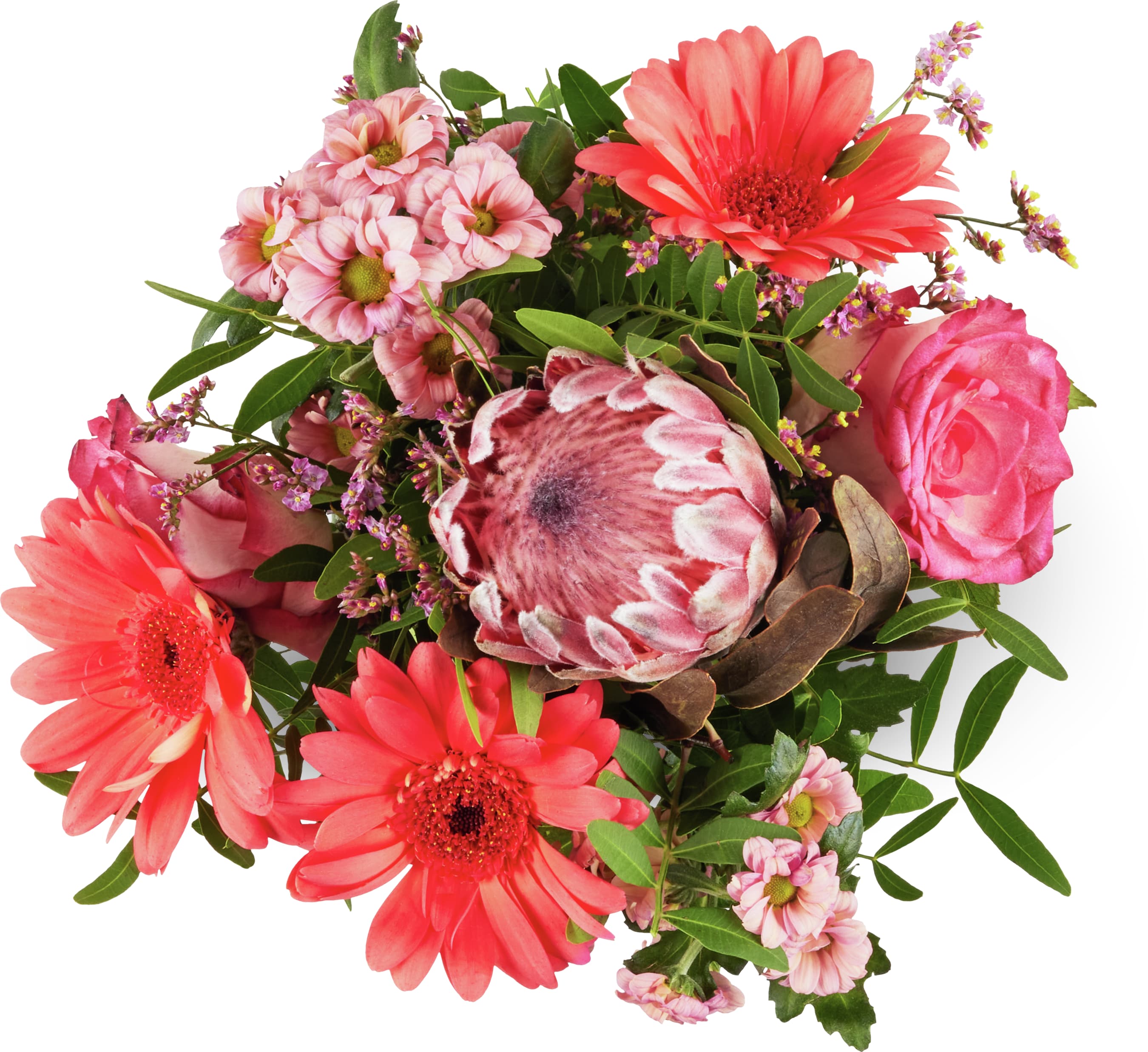 Bouquet Protea